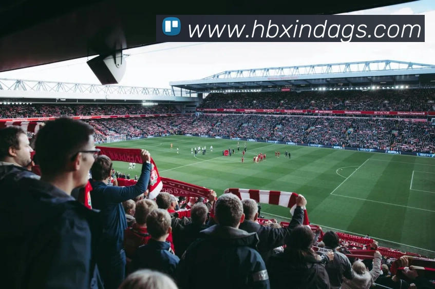 米兰体育APP 封面图